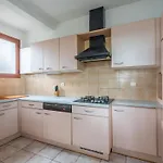 Maison 5 Pers, Proche Plage, Surf, Bateau & Jardin - - Fr-1-319-552 Biscarrosse