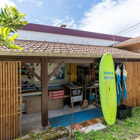 Maison 5 Pers, Proche Plage, Surf, Bateau & Jardin - - Fr-1-319-552 Feriehus Biscarrosse